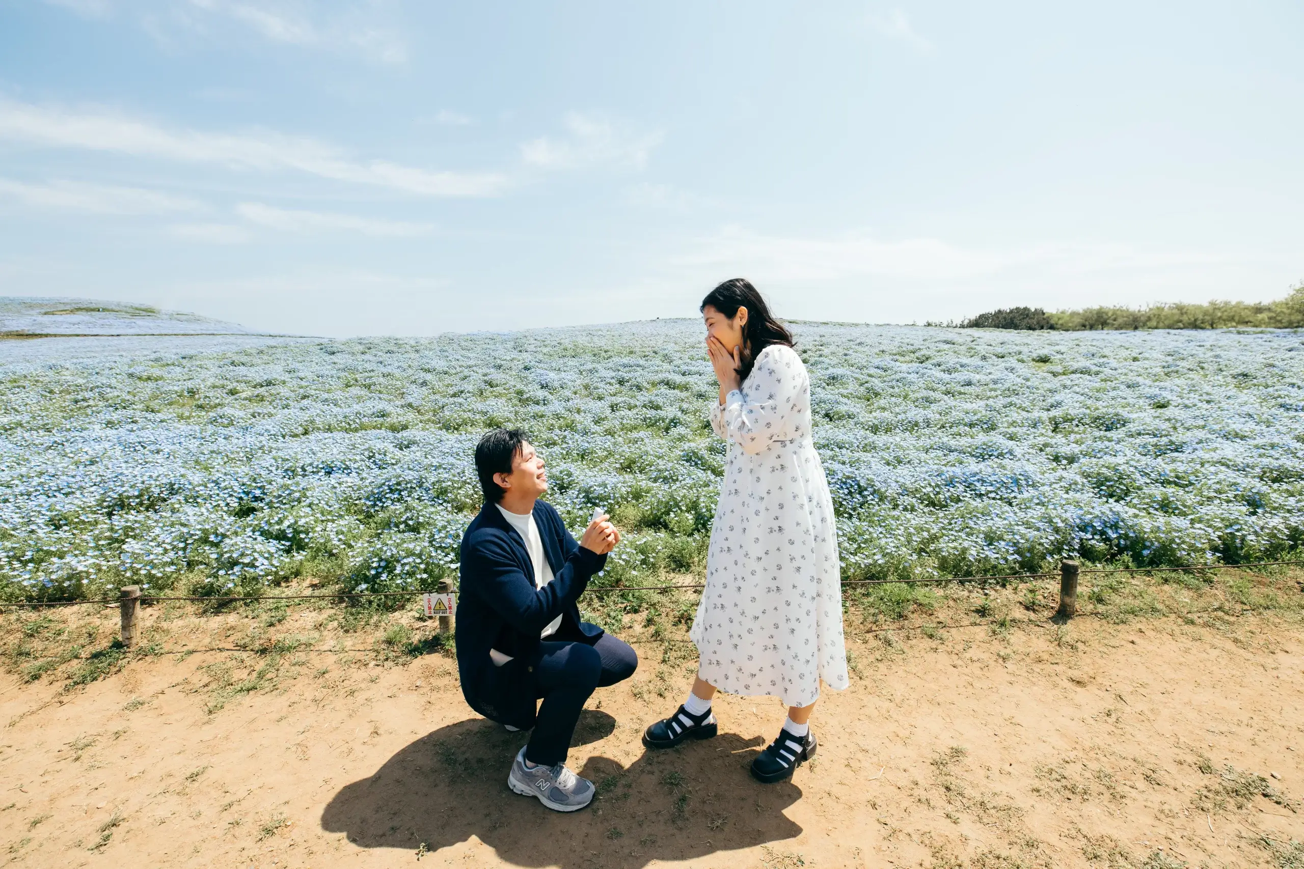 surprise proposal photography at Hitachi seaside park with nemophila